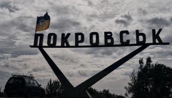 Хто і навіщо закуповує квіти у Покровську: аналіз тендерів