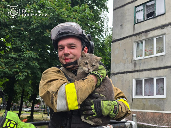 У Білозерську дістали живого котика з-під руїн