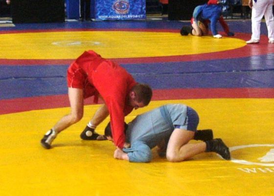 Краматорские самбисты успешно выступили на чемпионате Украины