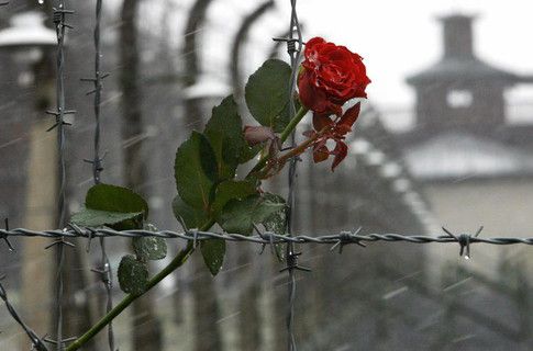 Сегодня вспоминают жертв Холокоста