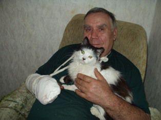 Фелинотерапия: лечение с помощью кошек