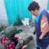 Евакуйований з Лимана пес Мухтар поїде до релокованого з Бахмута товариства «Лада»