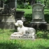 В Краматорске инициируют разработку правил захоронения и строительство кладбища домашних животных