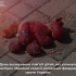 4 червня - День вшанування пам’яті дітей, які загинули внаслідок збройної агресії російської федерації проти України, та Міжнародний день безневинних дітей – жертв агресії