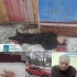 Один загиблий та п’ятеро поранених - затримано мешканця Красногорівки, який кинув гранату у продавця біля магазину