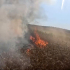Донецька область втрачає врожай через російські атаки